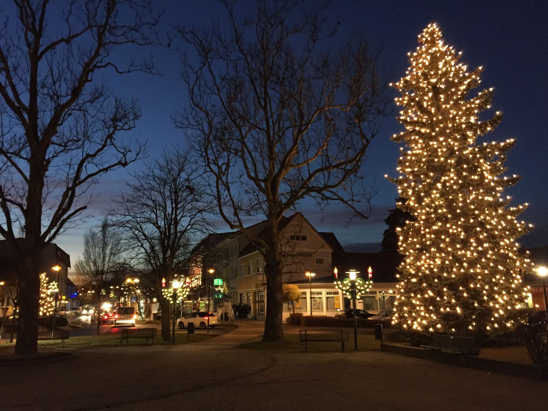 Weihnachtsbaum_Mutter_Teresa_Platz